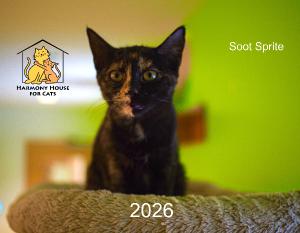 Harmony House for Cats 2026 Calendar