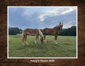 Hasty’s Haven 2026