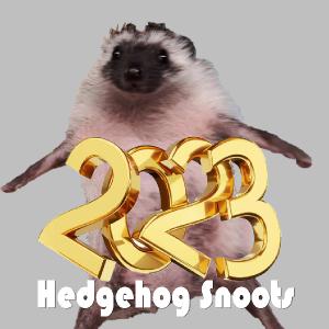 Hedgehog Snoots 2023