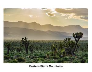 Eastern Sierra Landscape - Henry Brening