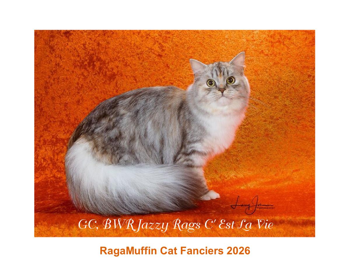 RagaMuffin Cat Fanciers 2026