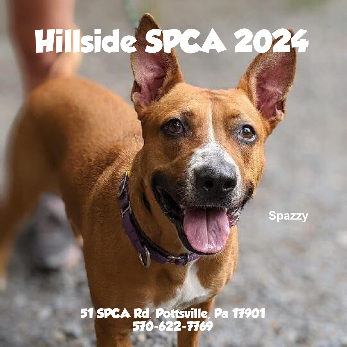 Hillside SPCA 2024 calendar