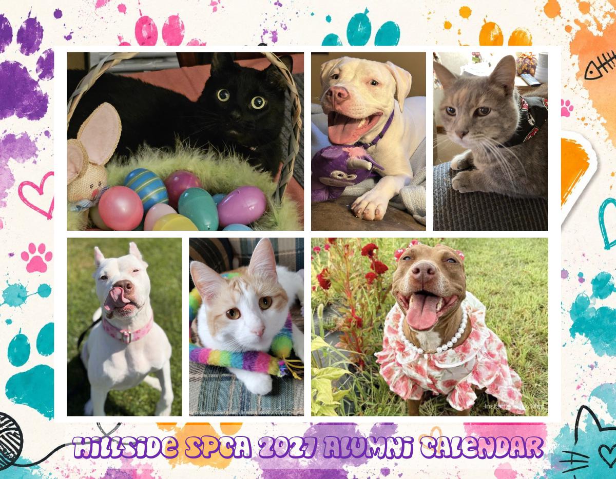 2027 Wall Calendar