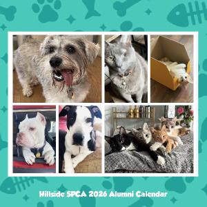 Hillside SPCA 2026 12X12 Calendar