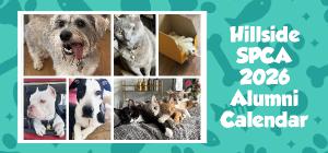 Hillside SPCA 2026 Desk Calendar