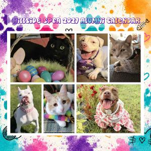 2027 12X12 Wall Calendar