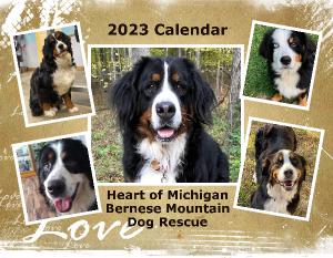 2023 Rescue Calendar