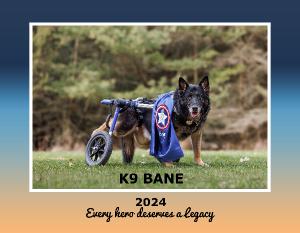 K9 Bane 2024 Calendar