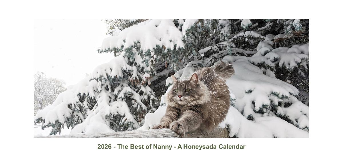 The Best of Nanny - A 2026 Honeysada Desk Calendar