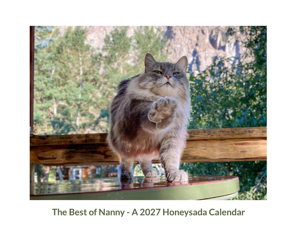 Best of Nanny - A 2027 Honeysada Calendar