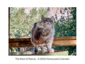 The Best of Nanny - A 2026 Honeysada Calendar