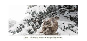 The Best of Nanny - A 2026 Honeysada Desk Calendar