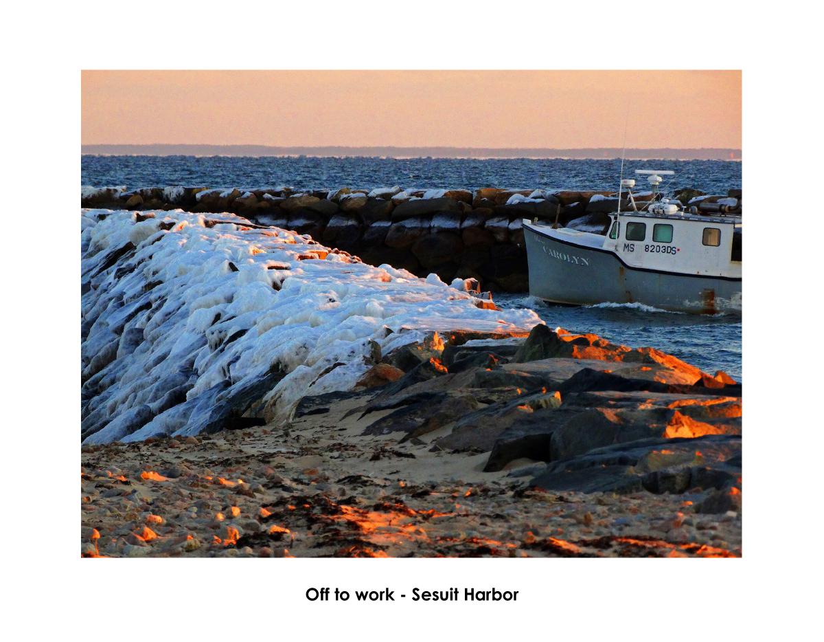 Dianne Cowen Cape Cod Photography