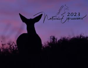 Nature's Expressions Wildlife 2023