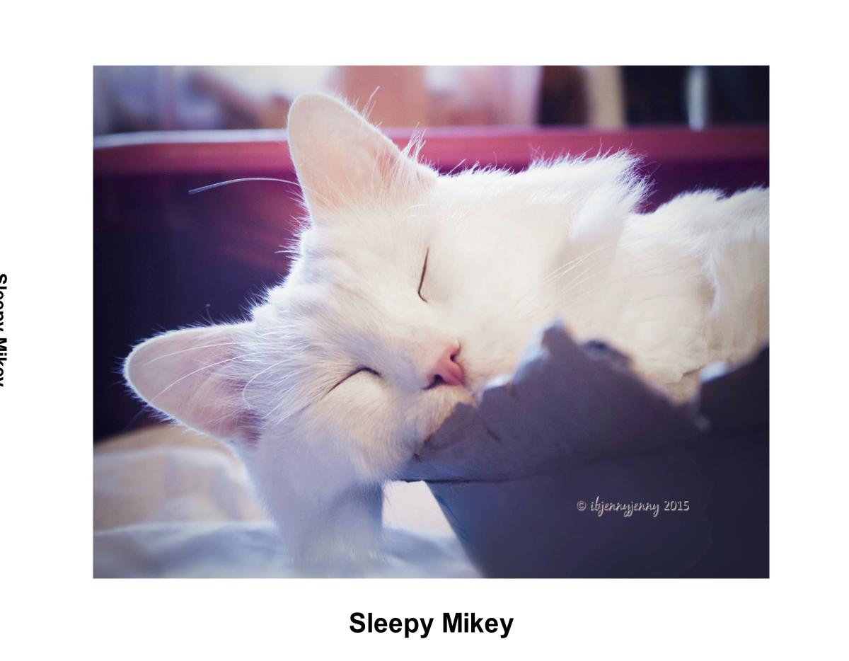Sleepy Mikey Photo Story Book