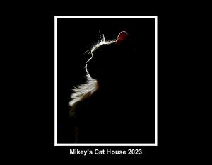 Mikey's Cat House 2023