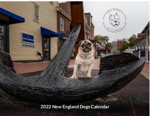 2022 New England Dogs Calendar