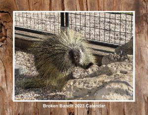 Broken Bandit Wildlife Center 2023 Calendar