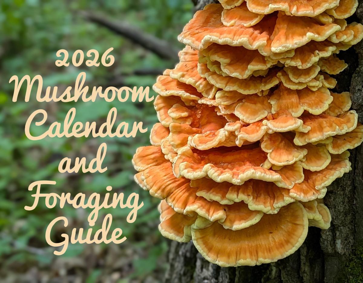 2026 Mushroom Calendar