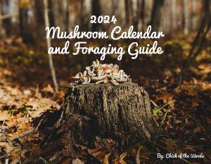 2024 Mushroom Calendar and Foraging Guide