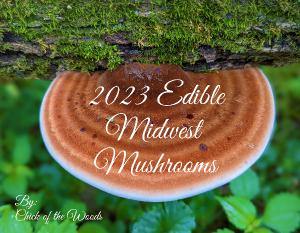2023 Edible Midwest Mushrooms