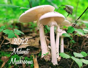 2022 Midwest Mushrooms Calendar