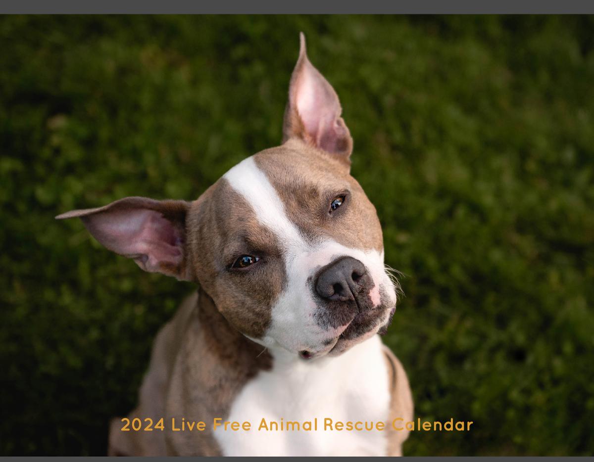 Live Free Animal Rescue 2024 Calendar