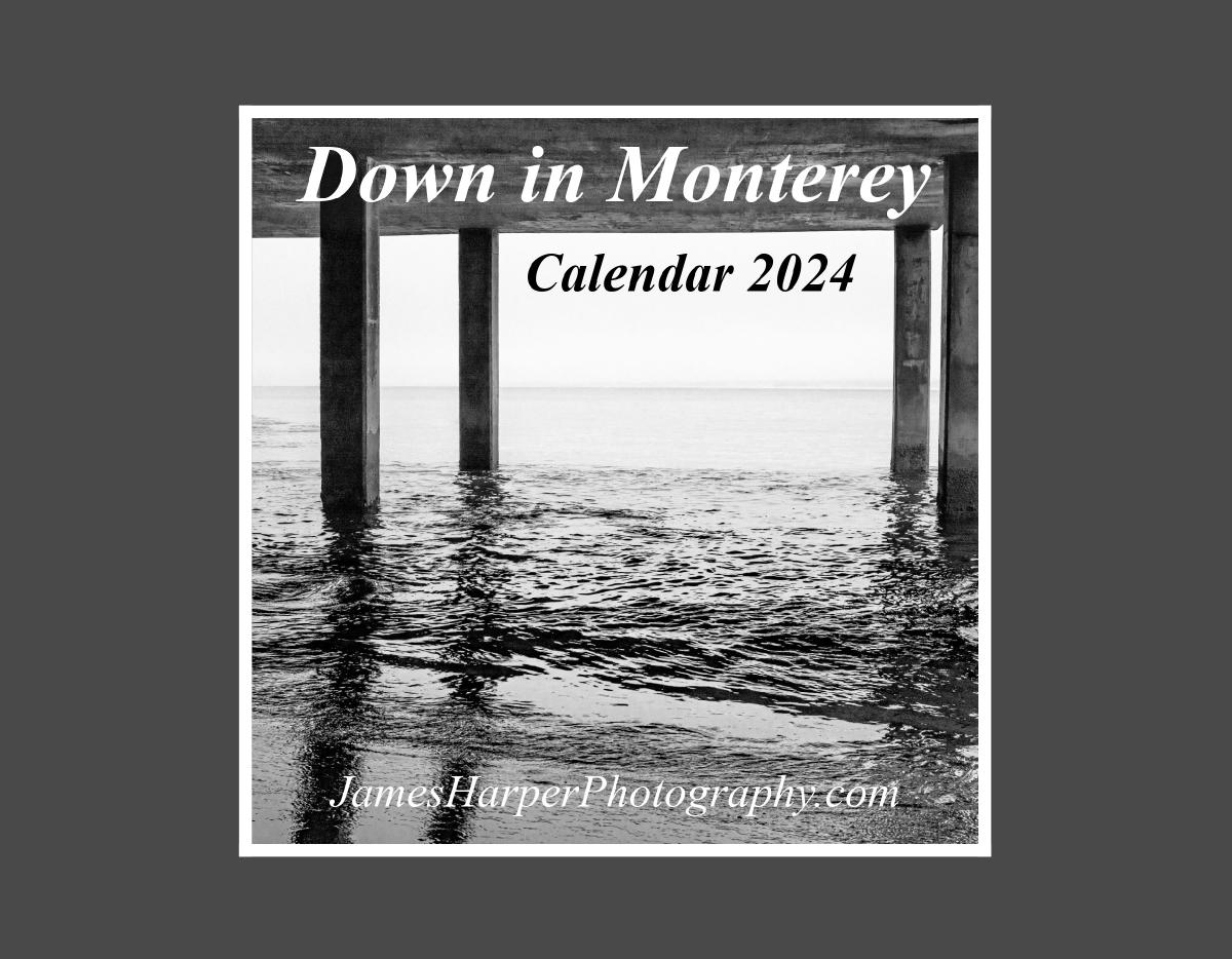 Down in Monterey - Calendar 2024