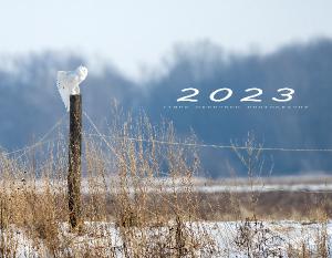 2023 Owls Calendar