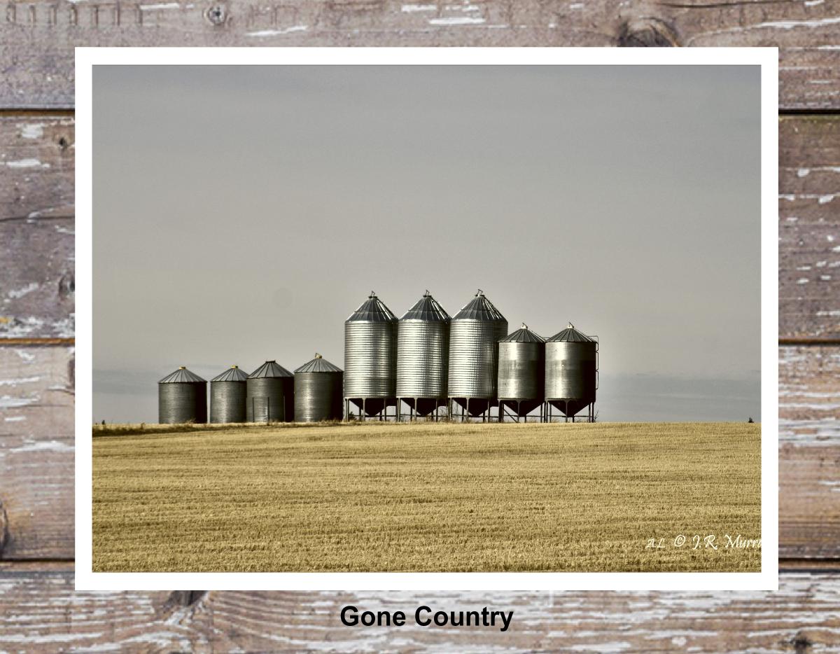 Gone Country