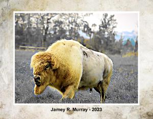 jamey