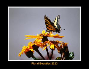 Floral Beauties 2023
