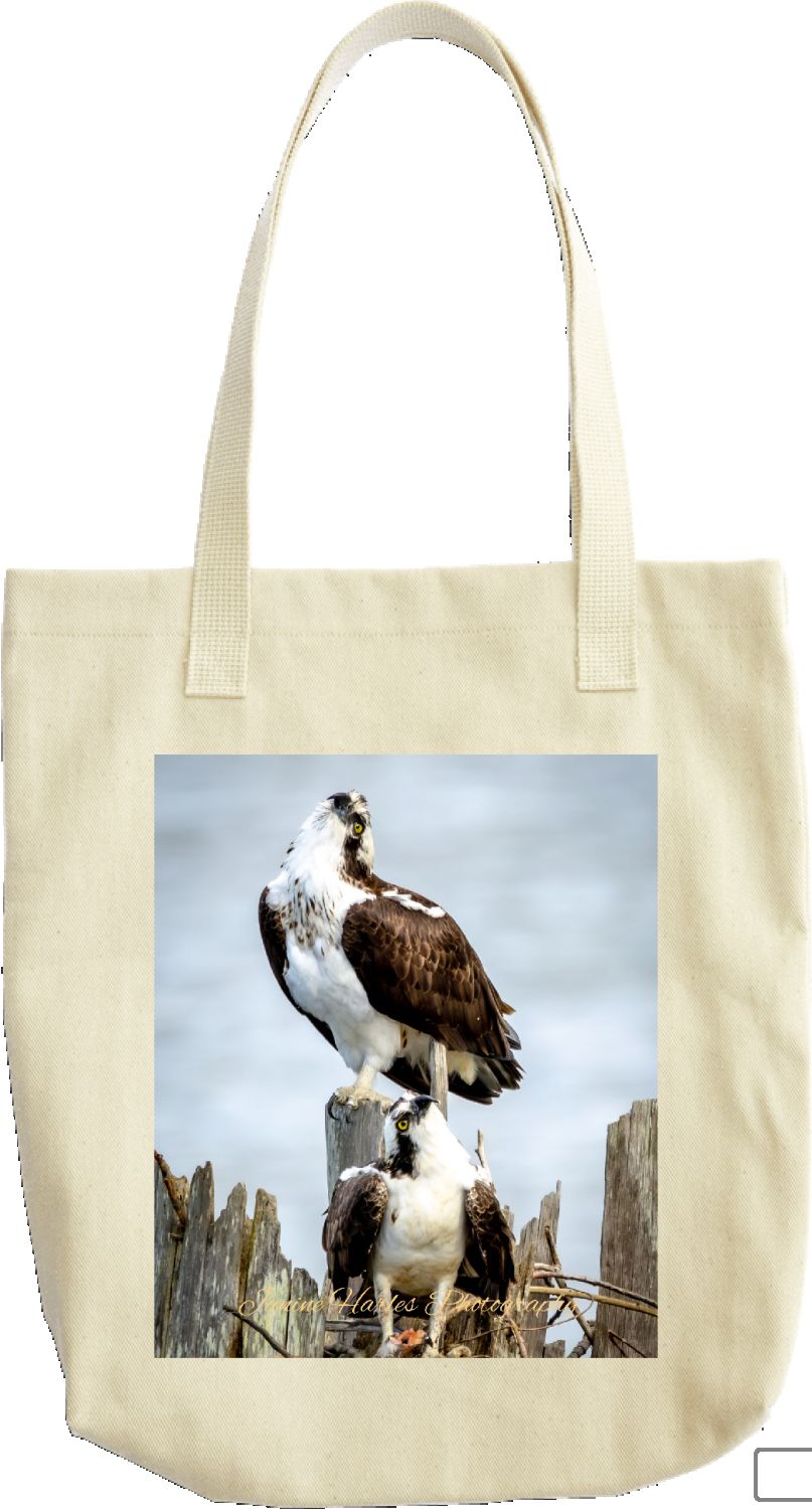 Double Osprey Bag