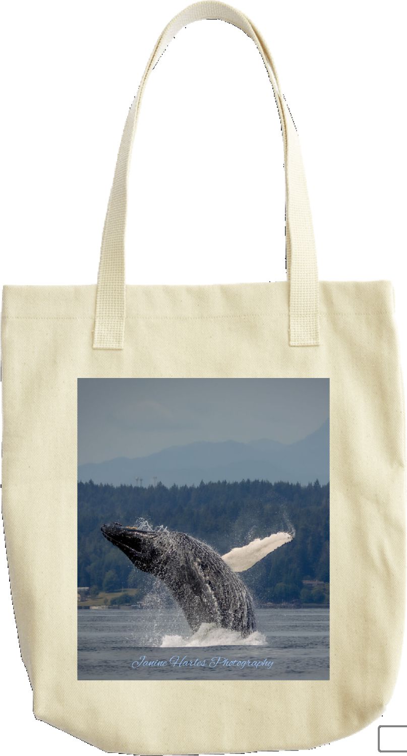 Breach Bag