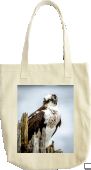 Osprey Bag