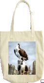Double Osprey Bag