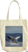 Breach Bag