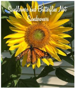 Sunflowers and Butterflies Not Sundowners CD 2022