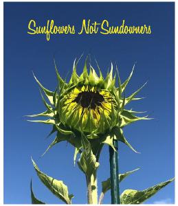 Sunflowers not Sundowners 2022 CD Calendar