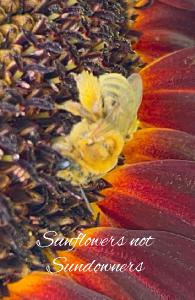 Sunflowers Notebook #3