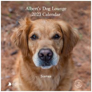 Albert's Dog Lounge 2023