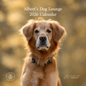 Albert's Dog Lounge 2027