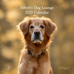 Albert's Dog Lounge 2027