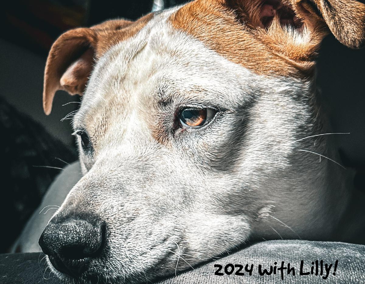Lilly"s 2024 Calender