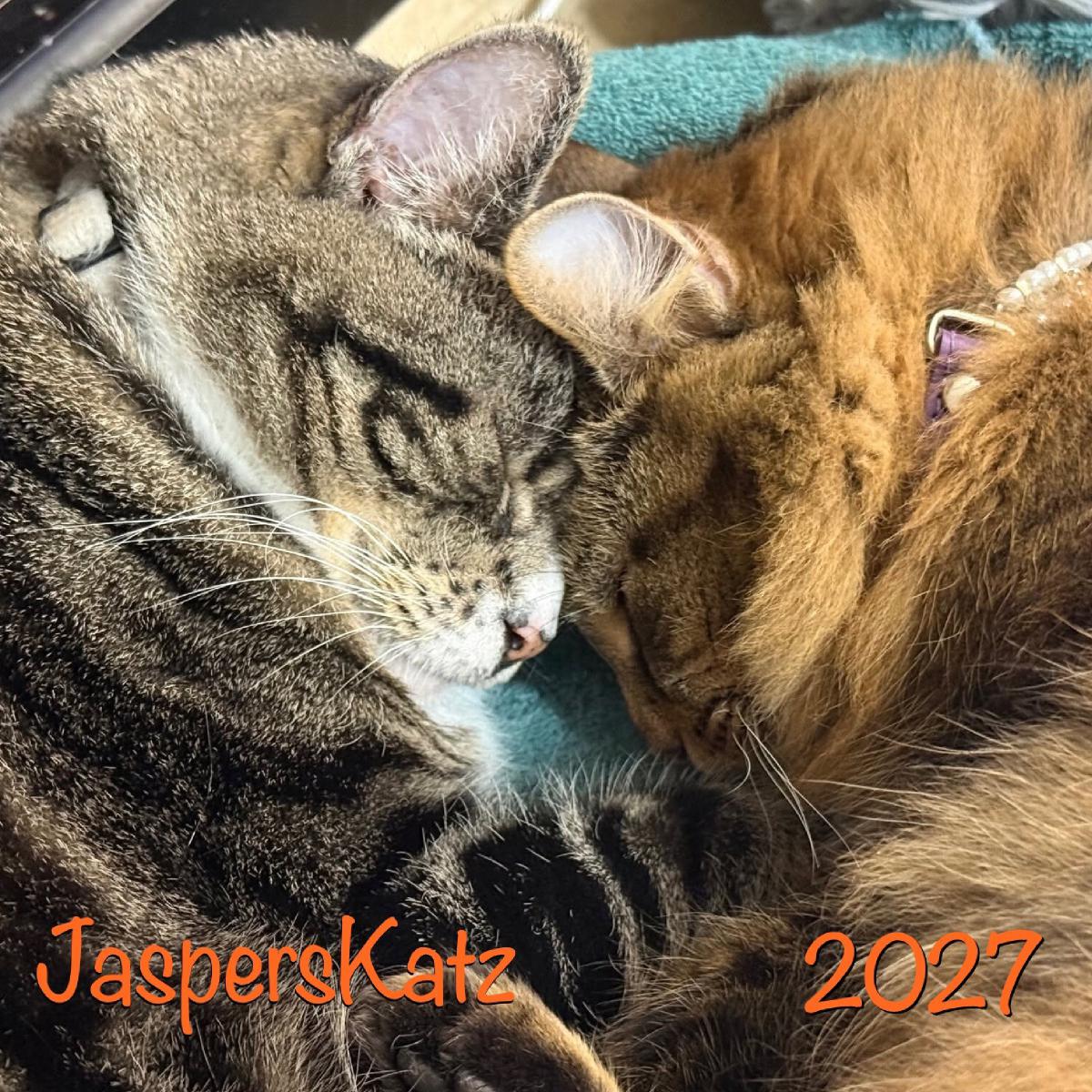 JaspersKatz 2027 Kitty Calendar