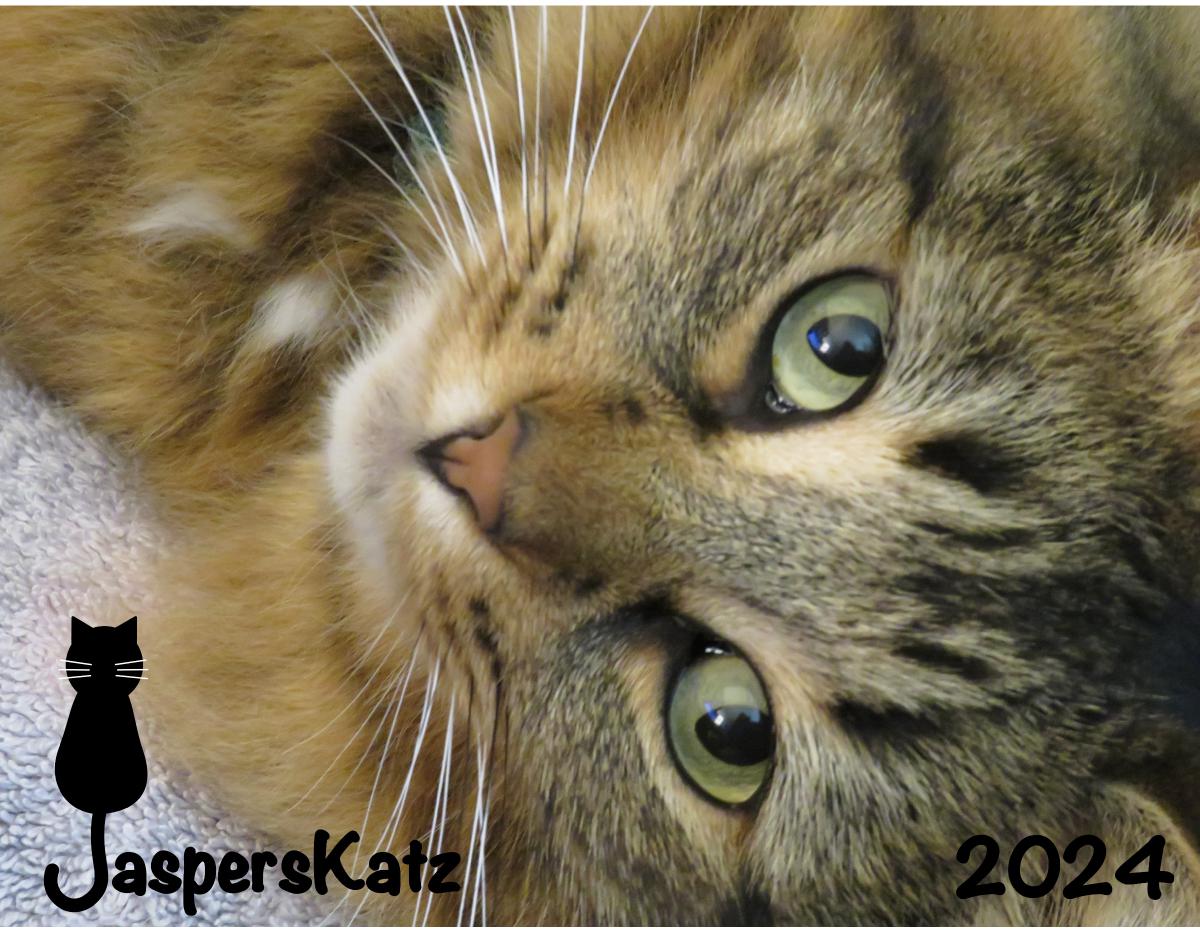 JaspersKatz 2024 Calendar