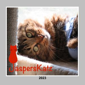 JaspersKatz 2023 Kitties