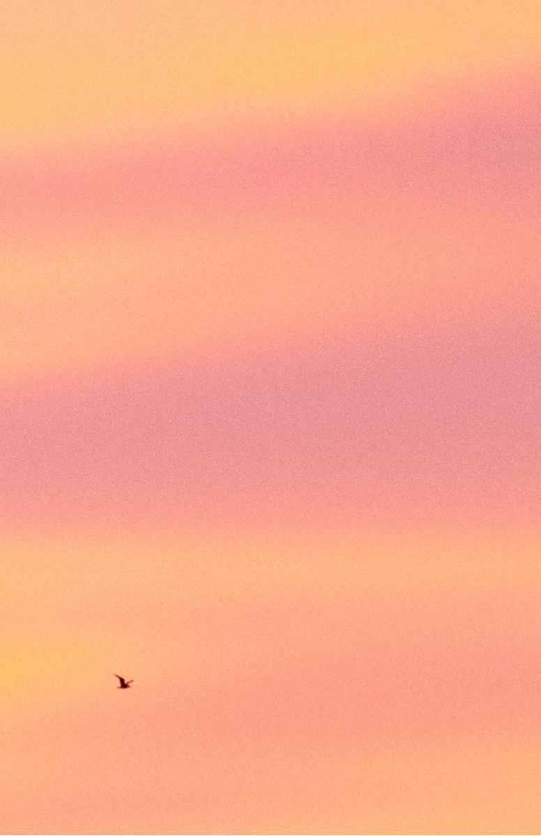 Fly Solo