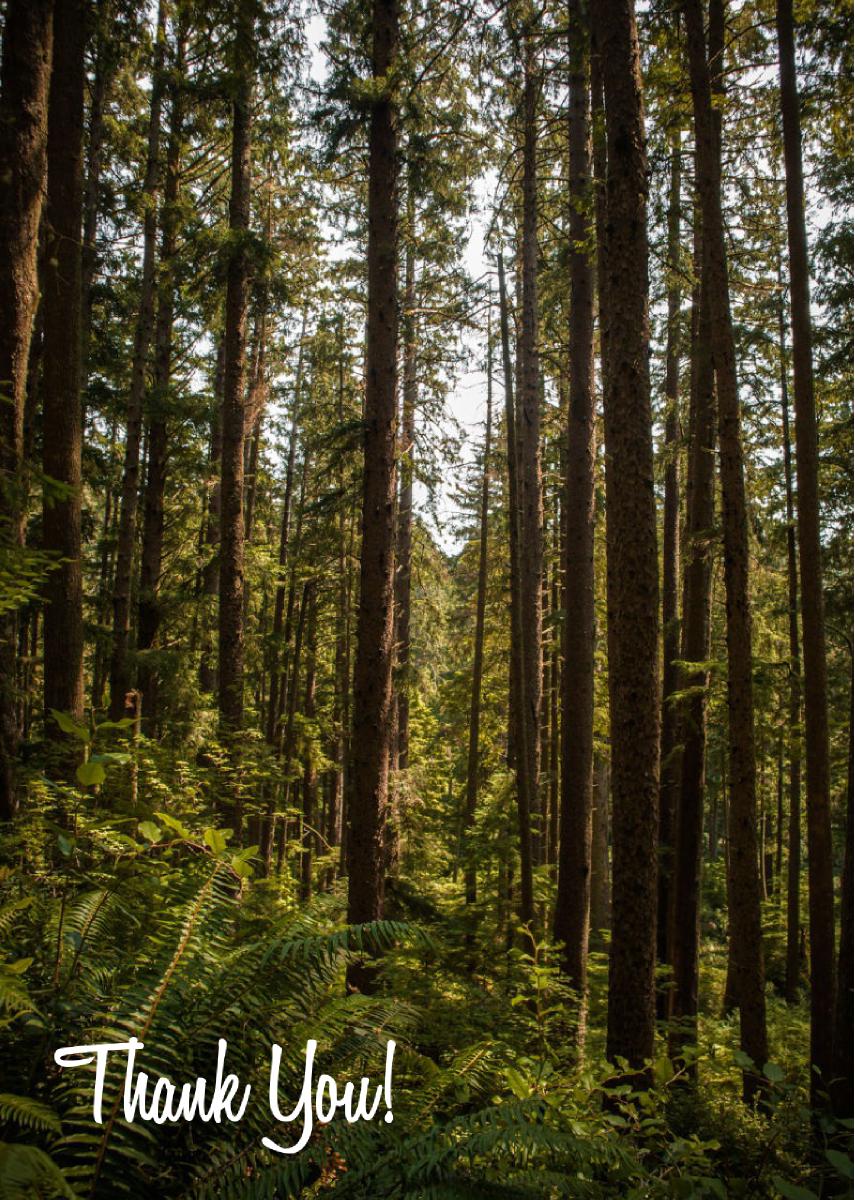 Forest Thank You Card