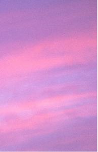 Pink and Purple Sunrise Sky